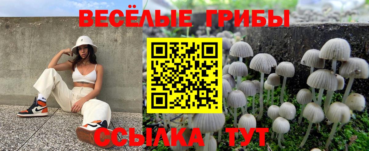 Псилоцибиновые грибы Psilocybine cubensis Сибай