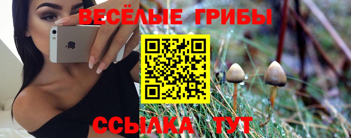 Сибай  Псилоцибиновые грибы Magic Shrooms  Вход с VPN 